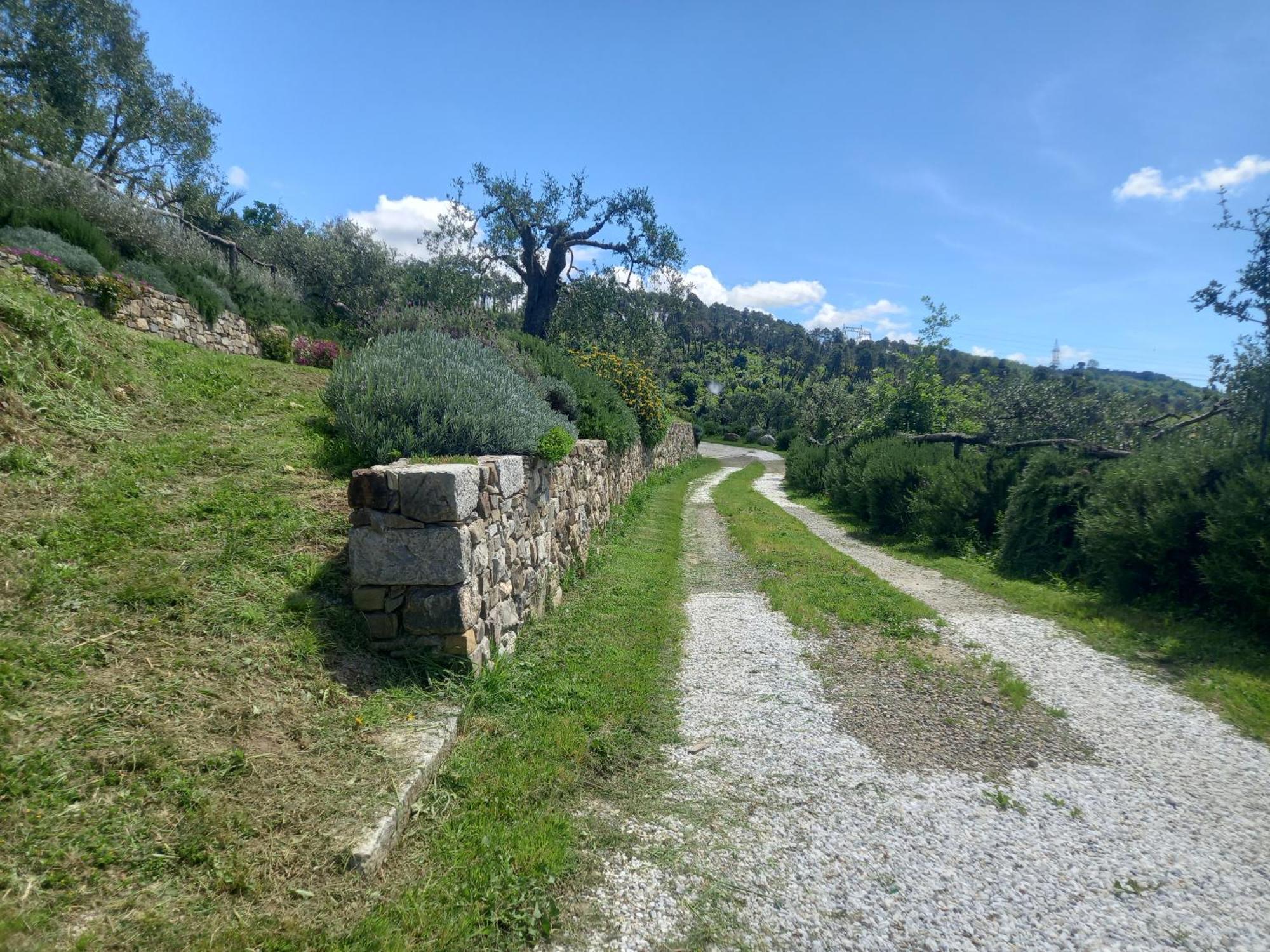 Il Colle Della Brina Hotell Sarzana Eksteriør bilde